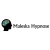 Logo Coaching- und Hypnosepraxis Ralf Maleska