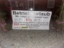 Logo Coburger Bratwurst Hopf Stefan Hopf