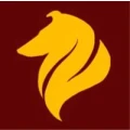 Logo Collies of Yellow River Vera Svetlecic