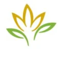 Logo Concilio Beauty & Wellness Concept
