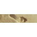 Logo Conny's Fu&szlig;pflege