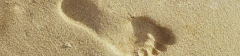 Logo Conny's Fu&szlig;pflege