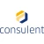 Logo consulent Beratungsgesellschaft mbH