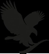 Logo Consulting