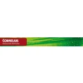 Cornelius Schuhhaus + Orthop&auml;die-Schuhtechnik GmbH & Co. KG Memmingen