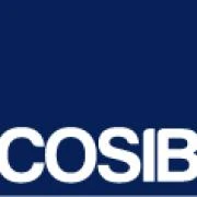 Logo COSIB GmbH