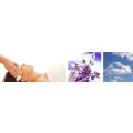 Logo Cosmetica La Marina