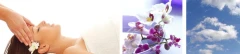 Logo Cosmetica La Marina