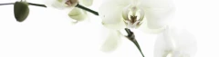 Logo Cosmetics am Talweg - Monika Gundlach