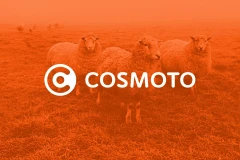 Logo Cosmoto Filmproduktion, Medienproduktion, Internet