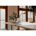 Coworking Connewitz Leipzig