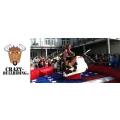 Logo Crazy Bullriding