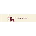 Logo CTG-Consulting