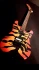 Logo Custom Guitars Plakan