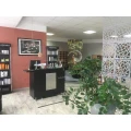 Cut, n, Style Haarstudio Katarina Wiech Pfullingen