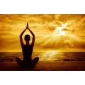 Logo Das Bewegte Haus