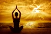 Logo Das Bewegte Haus Zentrum für Yoga und ganzheitliches Leben