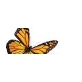 Logo Das Cremet&ouml;pfchen Katrin Gl&auml;ser