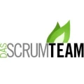Logo Das ScrumTeam Service GmbH