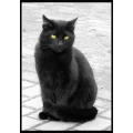 DAS-TT Modellbahn Anke Despang Elstertrebnitz