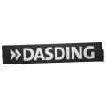 Logo DASDING (DAS DING)