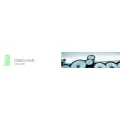 Logo DataConsult