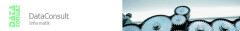 Logo DataConsult Informatik