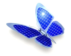 DAV Projekt & Energie GmbH Nieder-Olm