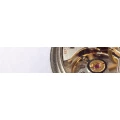 Logo David Franz Services Ltd.