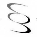 Logo Wielinski, David