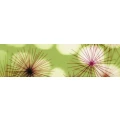 Logo Winczy Gartenservice, David