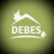 Logo Debes Haustechnik