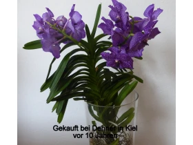 Dehner GartenCenter Rain Öffnungszeiten Telefon