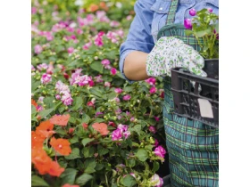 Dehner GartenCenter München Trudering Öffnungszeiten