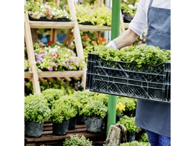 Dehner GartenCenter Neustadt Öffnungszeiten Telefon