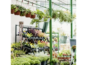 Dehner GartenCenter München Moosach Öffnungszeiten