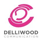 Logo Delliwood Communication