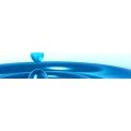 Logo Top-Color, Denny Endmann