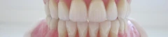 Logo Dentallabor Basta Dentallabor