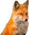 Logo Der Aufsperrfuchs