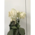 Der Blumenladen Inh. Elke Duiker Wiesbaden