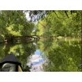 Der Flusswanderer Ladenburg