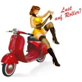 Logo Der Rollerhof