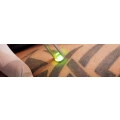 Logo Der Tattoodieb GmbH