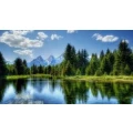 Logo Der Waldfrieden Naturparkhotel