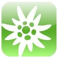 Logo Deutscher Alpenverein Sektion Frankenthal e.V. Kletterzentrum Pfalz Rock