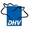 Logo Deutscher Holstein Verband e.V.