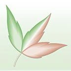 Logo Die Baumschule Hans Klosterhalfen