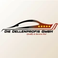 Die Dellenprofis GmbH Berlin