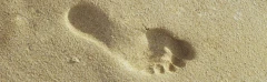 Logo Die Füßelei Sandy Voh